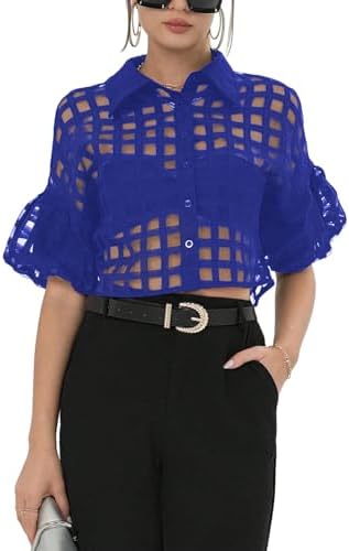Button Down Sheer Mesh Short Sleeve Collared Blouse